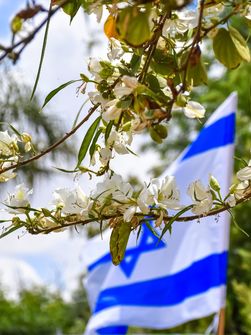 Israel flag and flowers